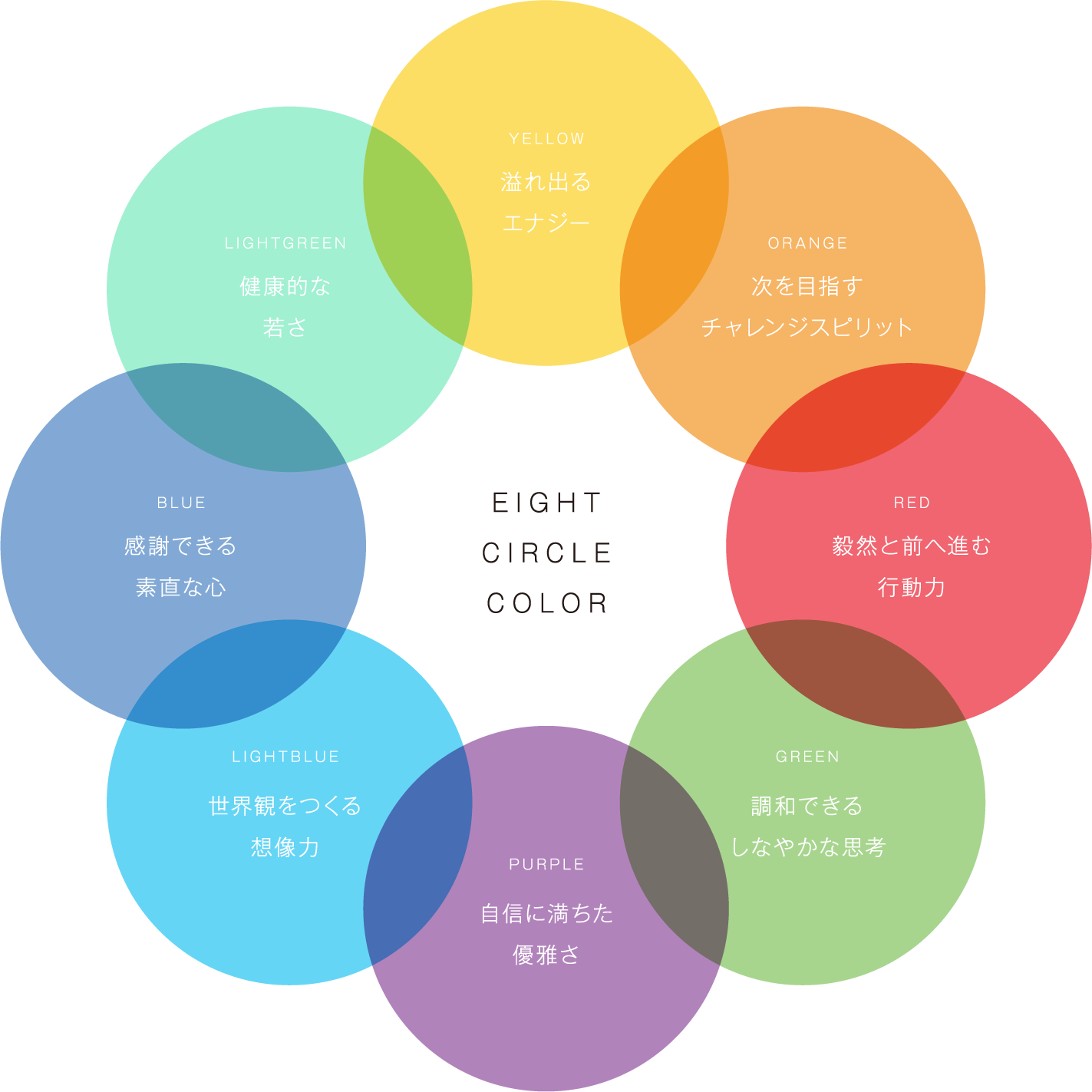 EIGHT CIRCLE COLOR